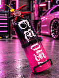 Custom fire extinguishers