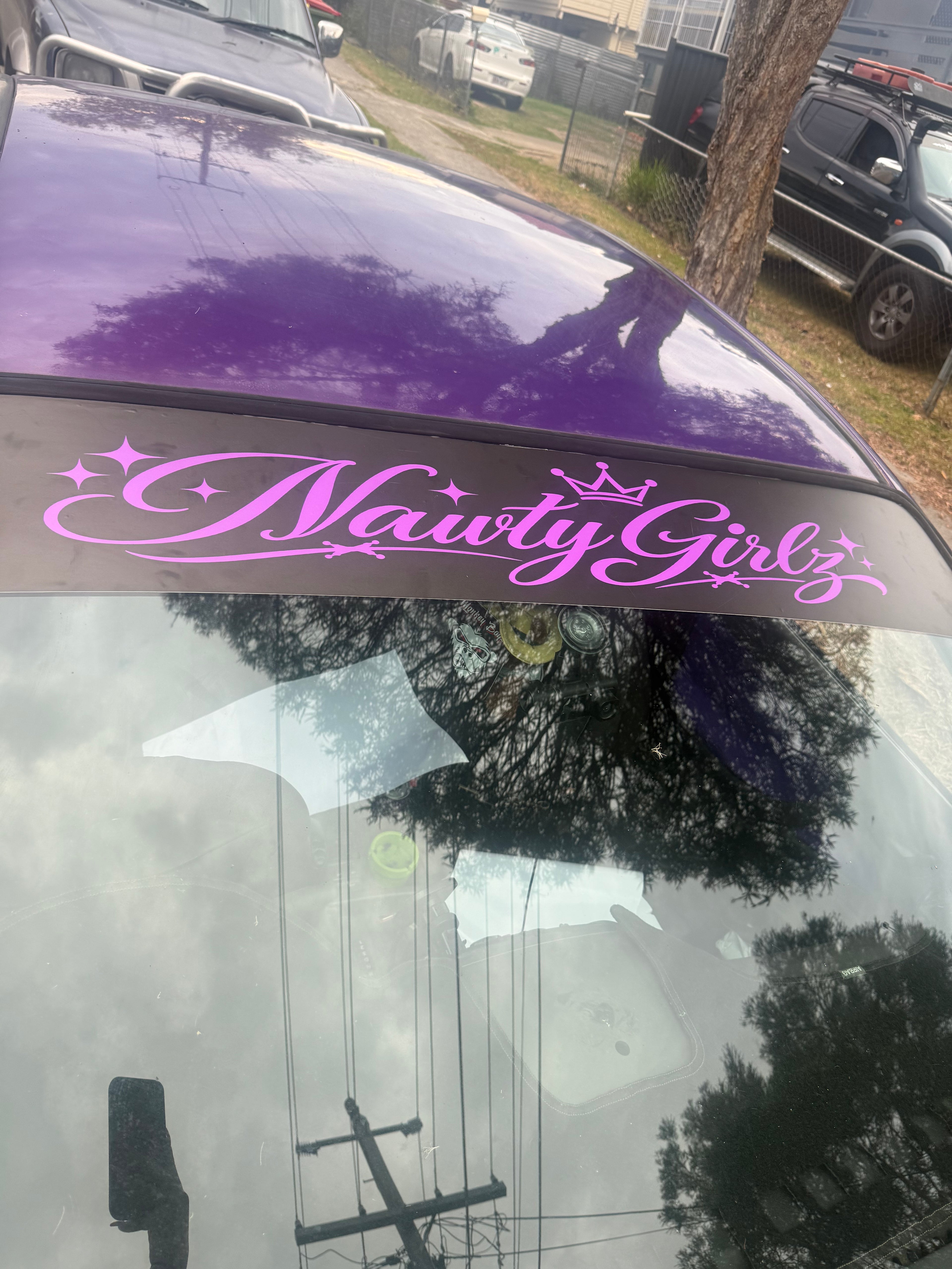 Nawtygirlz girly banners